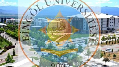 Bingöl Üniversitesi Besyo Online Başvuru 2017